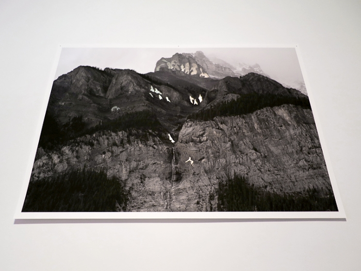 http://www.ww.mirunadragan.com/files/gimgs/th-12_GGallery_Mountain_web.jpg
