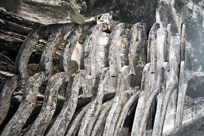http://www.ww.mirunadragan.com/files/gimgs/th-6_IMG_2473_Xilitla_W.jpg