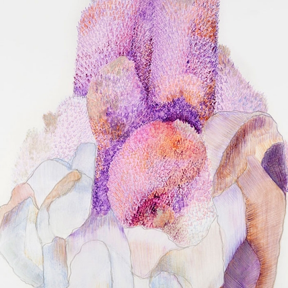 http://www.ww.mirunadragan.com/files/gimgs/th-23_Erratics-Draw3-detail-web_v2.jpg