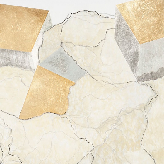 http://www.ww.mirunadragan.com/files/gimgs/th-23_Erratics-Draw1-detail-web_v3.jpg