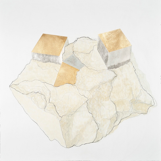 http://www.ww.mirunadragan.com/files/gimgs/th-23_Erratics-Draw1-web_v3.jpg
