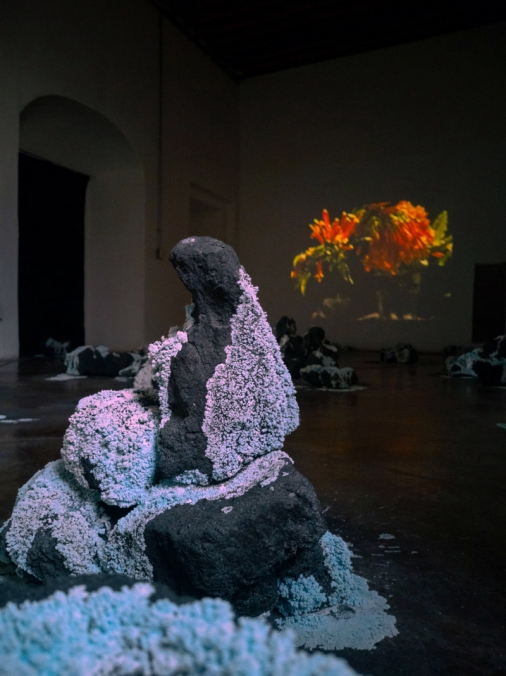 http://www.ww.mirunadragan.com/files/gimgs/th-71_HGM-Coal-W_IMG_20220920_111751(1)_1.jpg