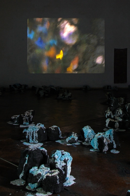 http://www.ww.mirunadragan.com/files/gimgs/th-71_IMG_4018_W.jpg
